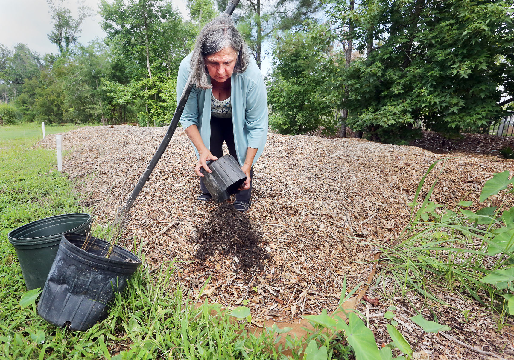 Permaculture